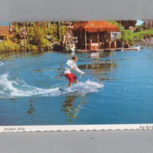 Vintage Postcard - Sea World Dolphin Ride San Diego - Continental Card